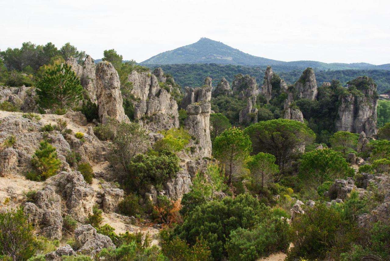 "Le Patio"-Meuble De Tourisme 3 Etoiles -Residence "Les Logis De Beziers"-Garage Optionnel-Coeur De Ville-Plages A 16Km ! Eksteriør billede